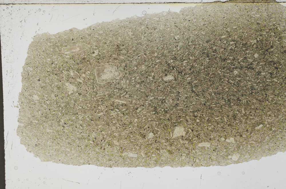 Plane Polarized, S54442