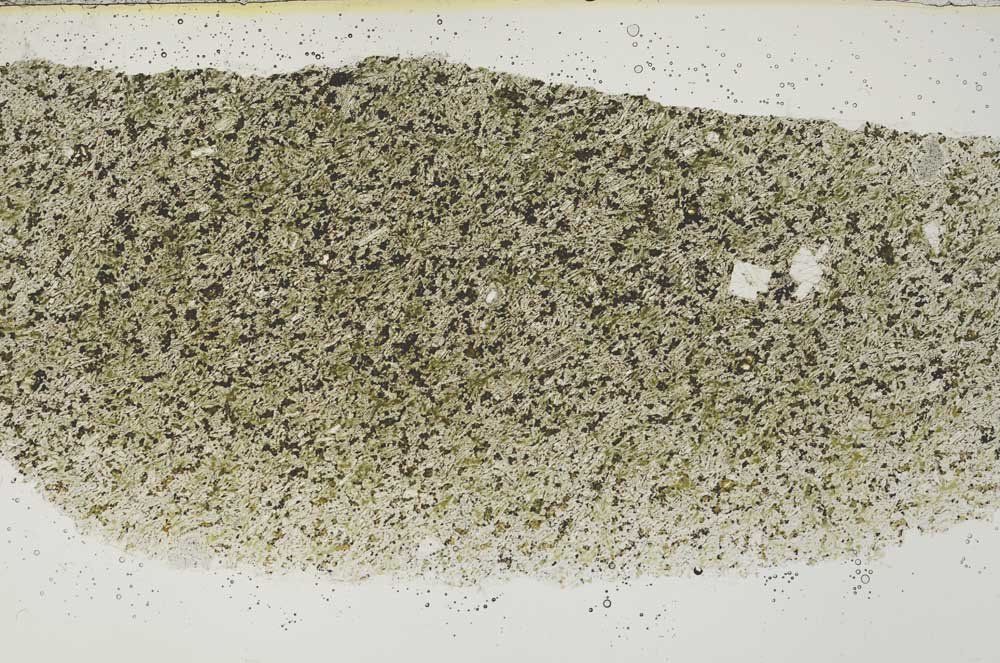 Plane Polarized, S54452