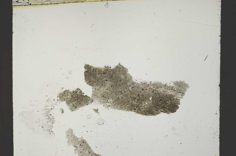 Plane Polarized, S54460