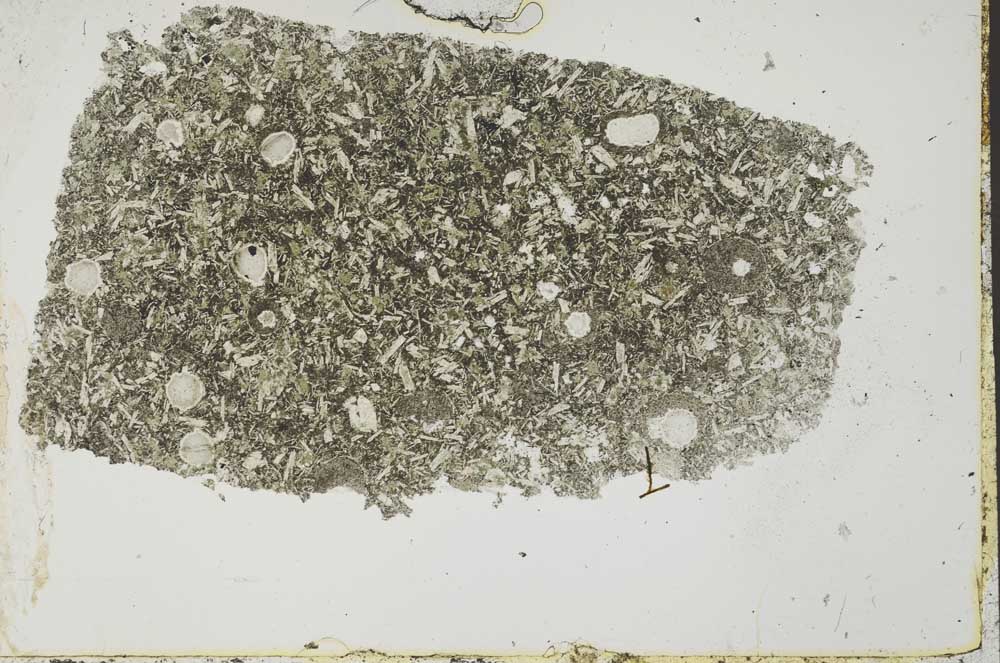Plane Polarized, S54464