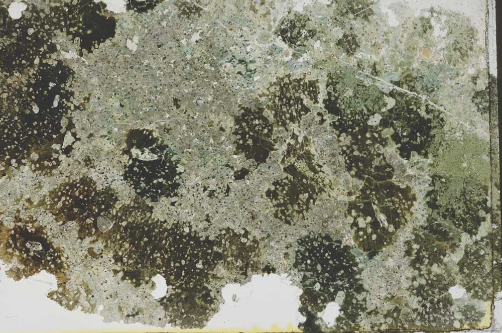 Plane Polarized, S54524