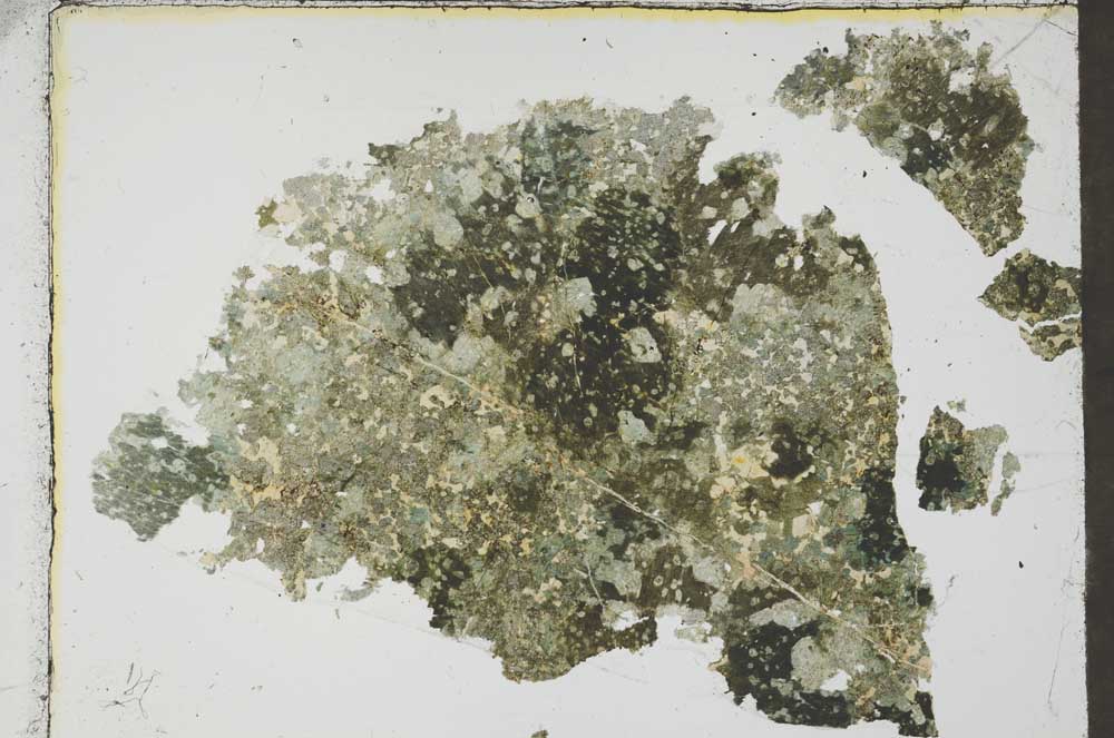 Plane Polarized, S54524/A