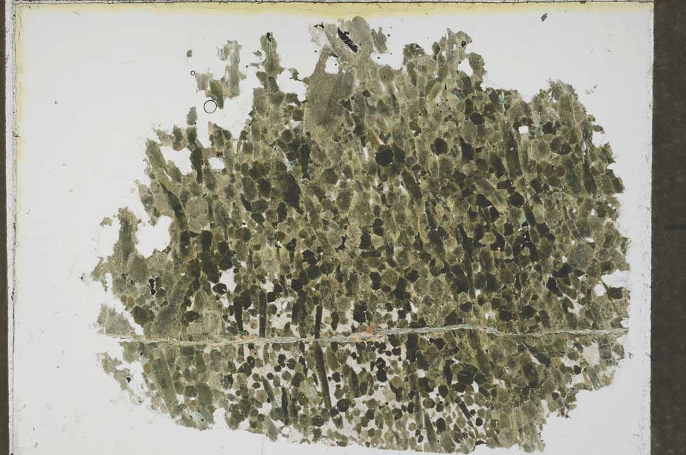 Plane Polarized, S54525