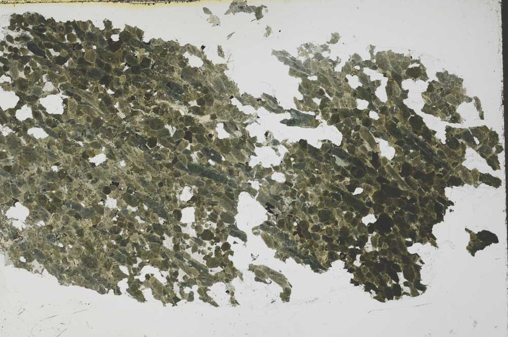 Plane Polarized, S54525/A