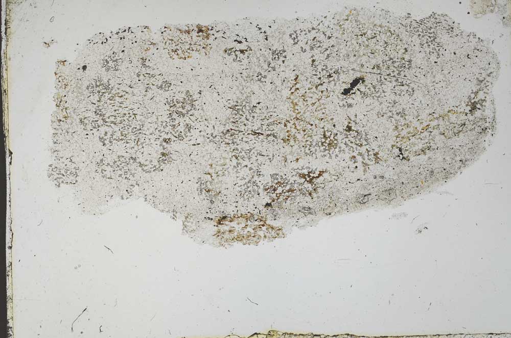 Plane Polarized, S54557