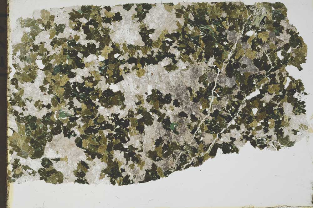 Plane Polarized, S54560