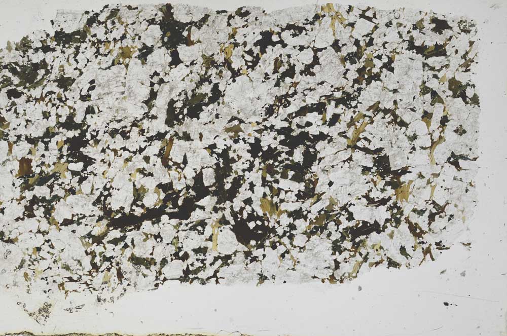Plane Polarized, S54561