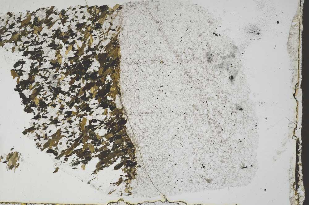 Plane Polarized, S54563