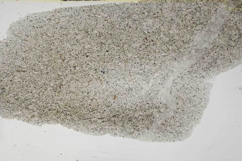 Plane Polarized, S54568