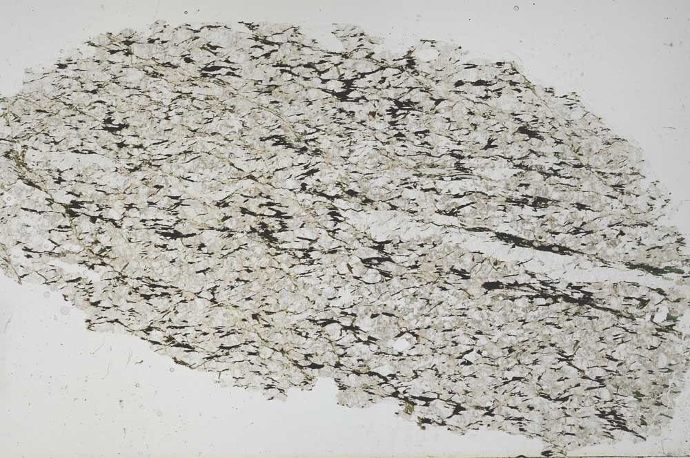 Plane Polarized, S54587