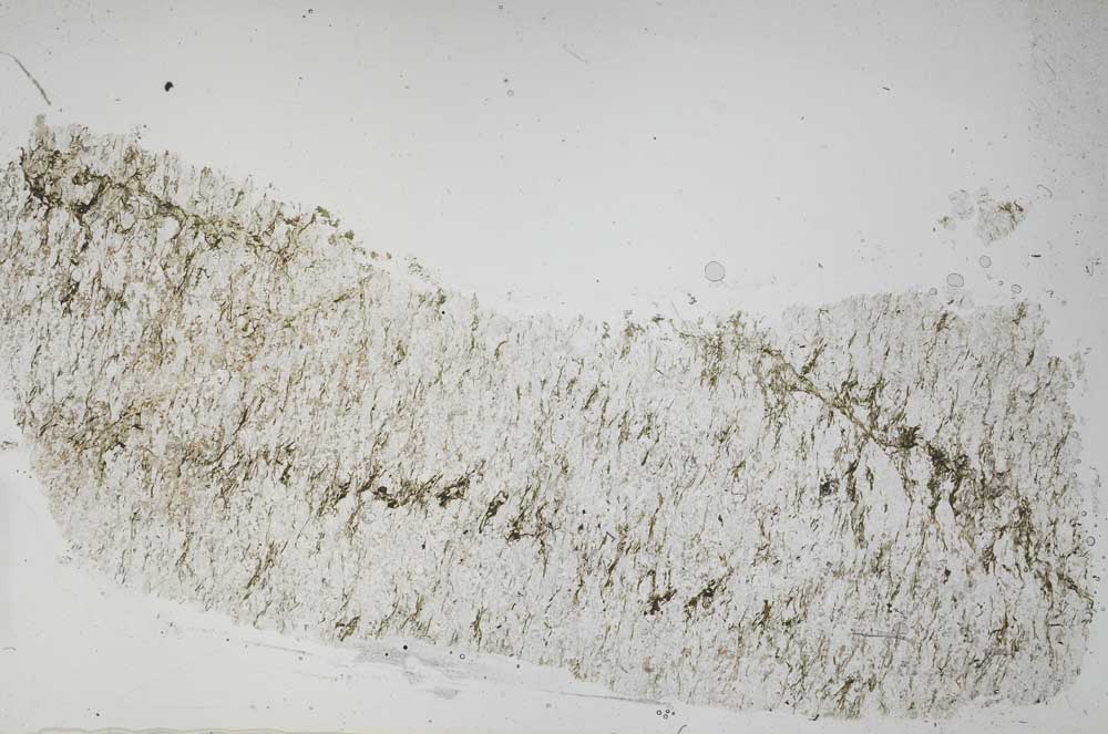Plane Polarized, S54589
