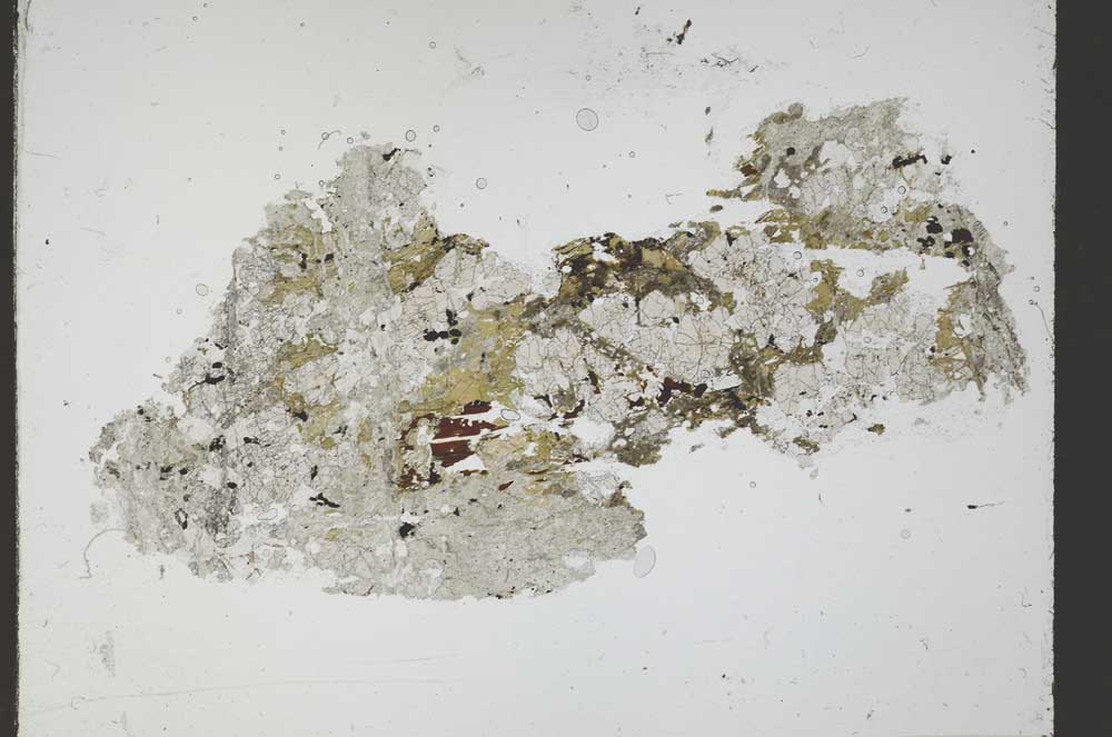 Plane Polarized, S54590