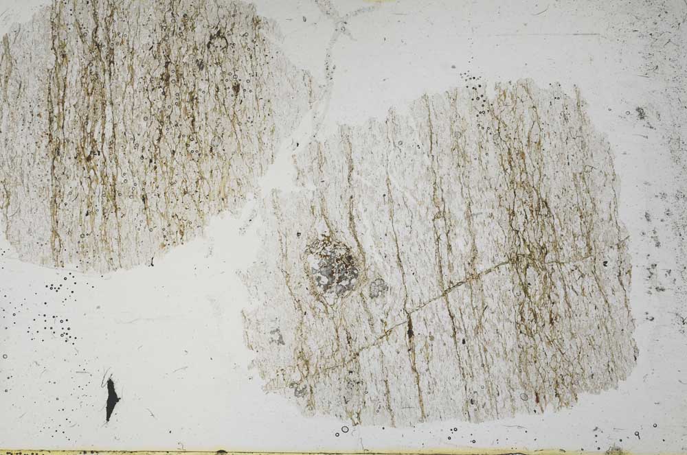 Plane Polarized, S54596