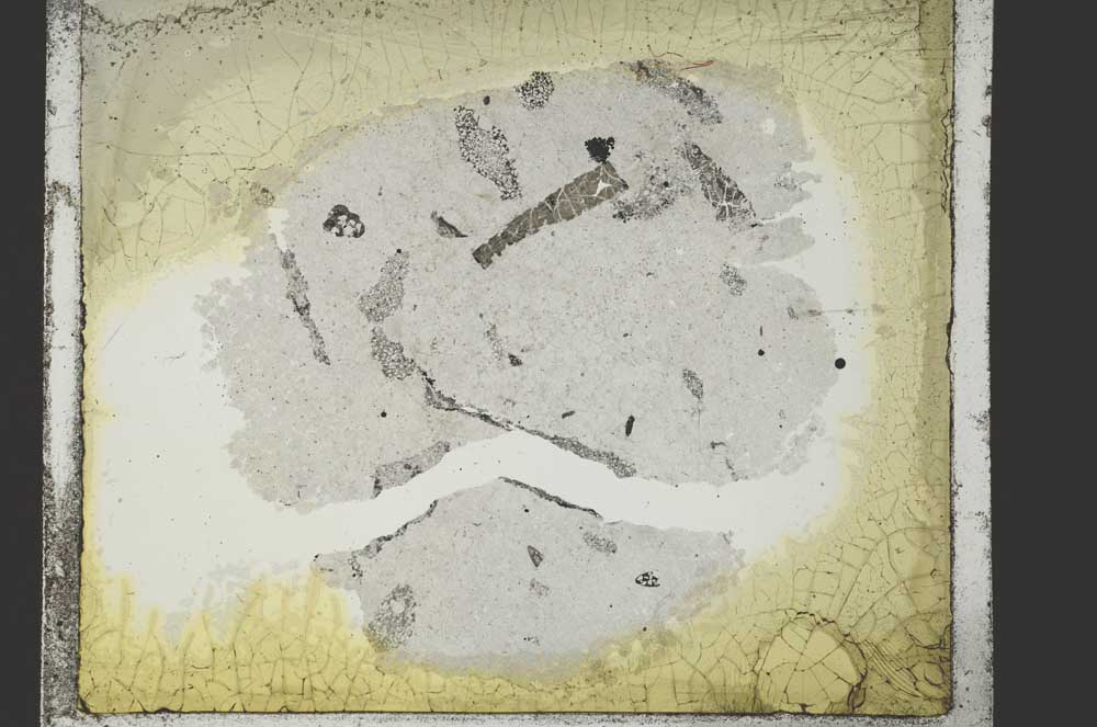 Plane Polarized, S54621