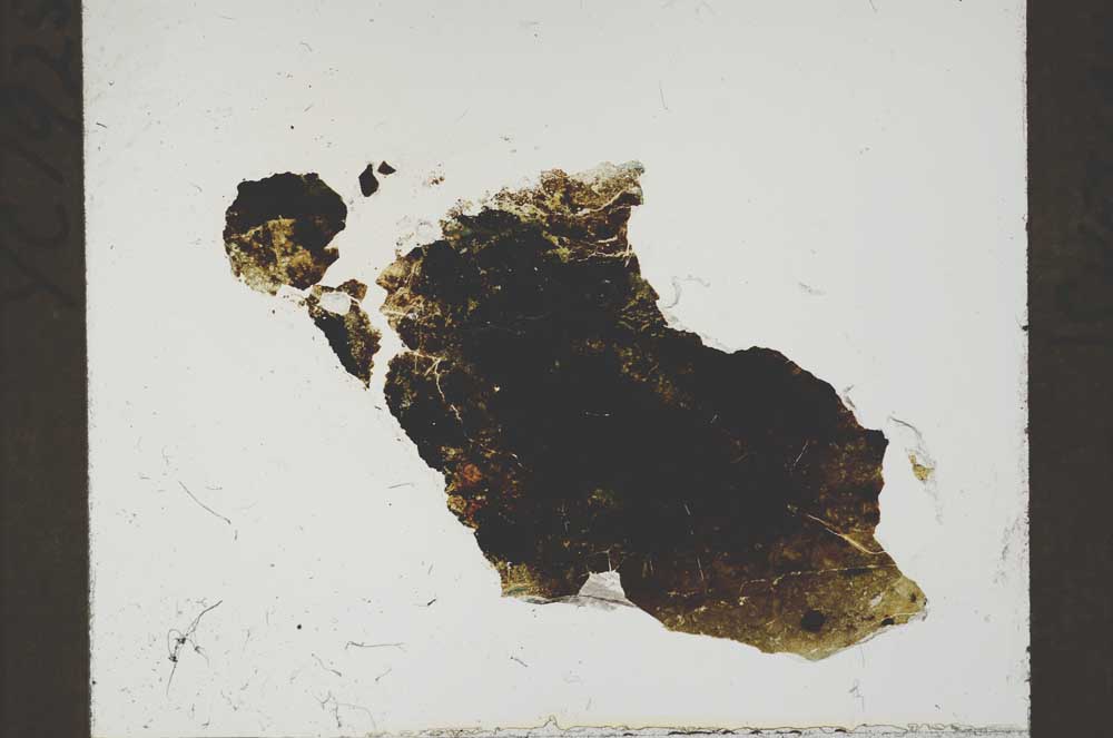 Plane Polarized, S54647
