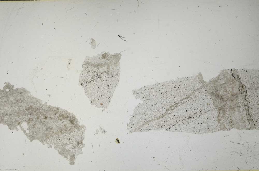 Plane Polarized, S54650