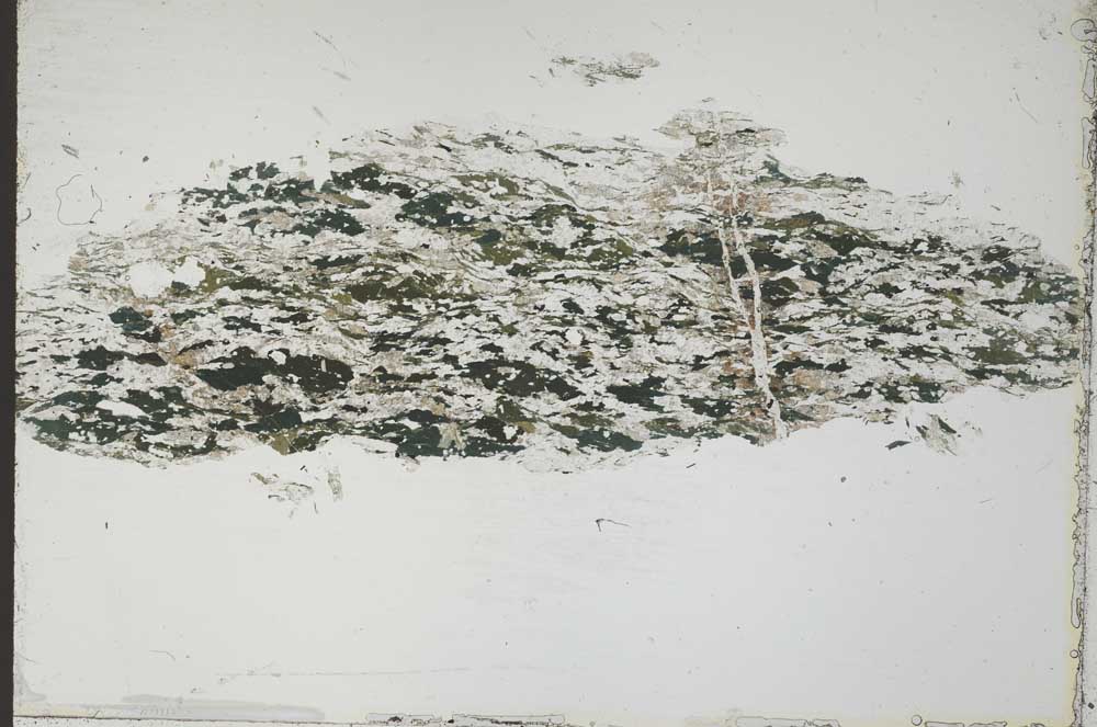 Plane Polarized, S54656