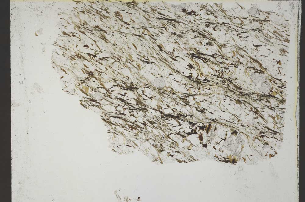 Plane Polarized, S54658