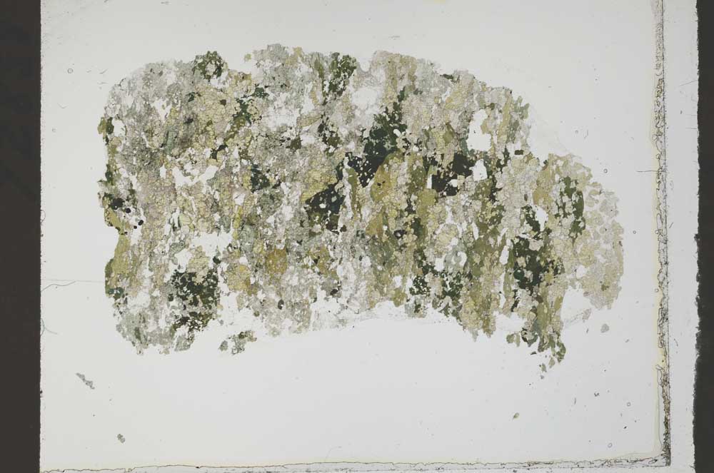 Plane Polarized, S54661