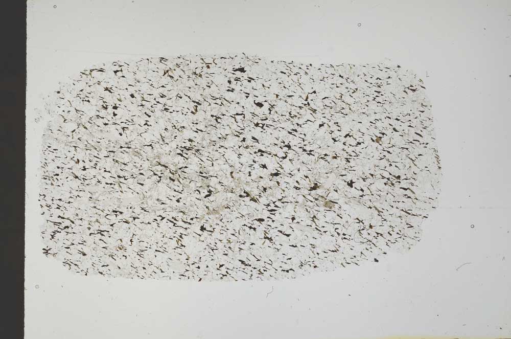 Plane Polarized, S54664