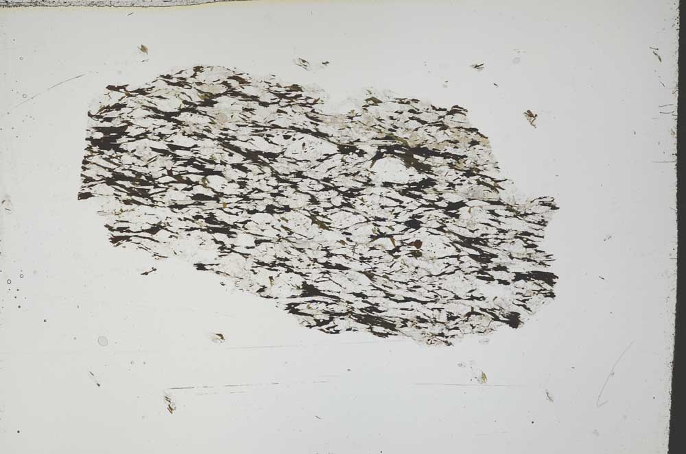 Plane Polarized, S54665