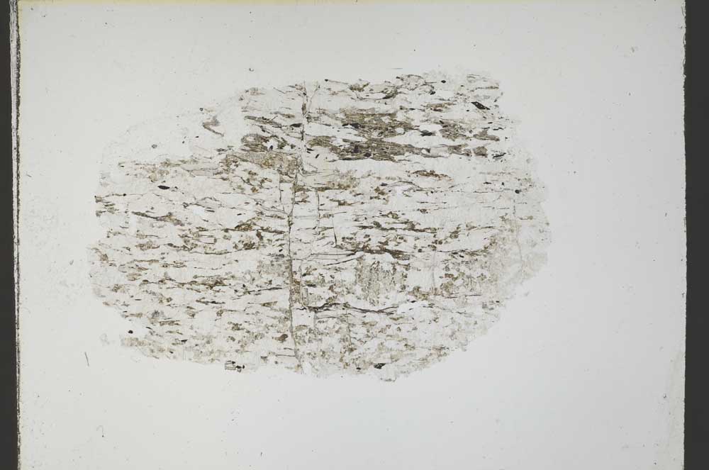 Plane Polarized, S54669