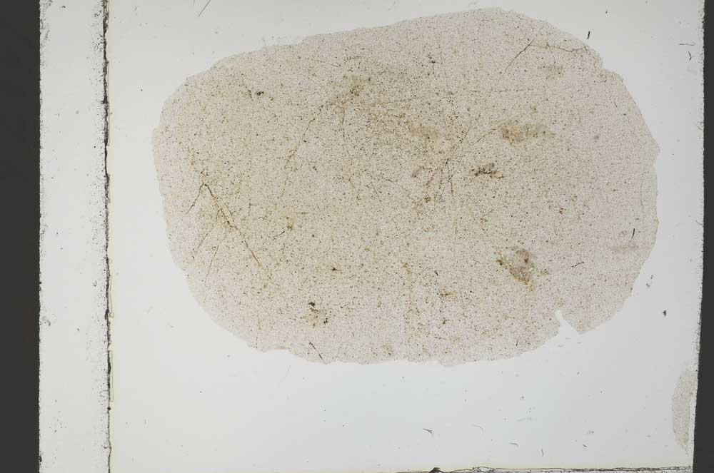 Plane Polarized, S54670