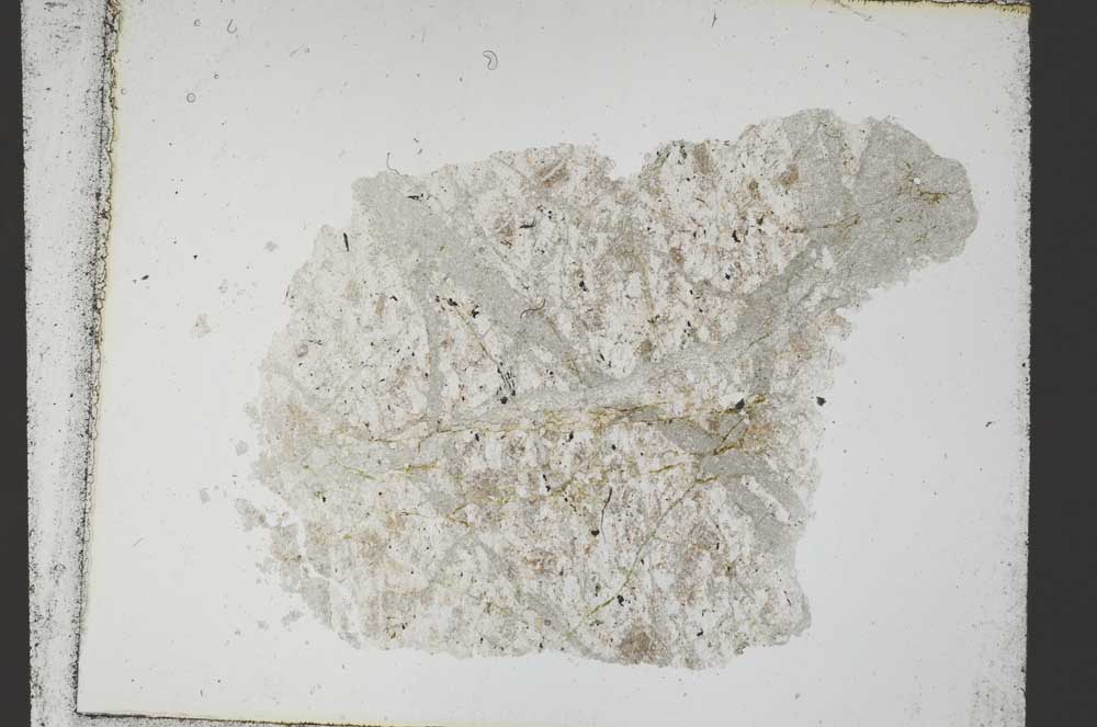 Plane Polarized, S54675