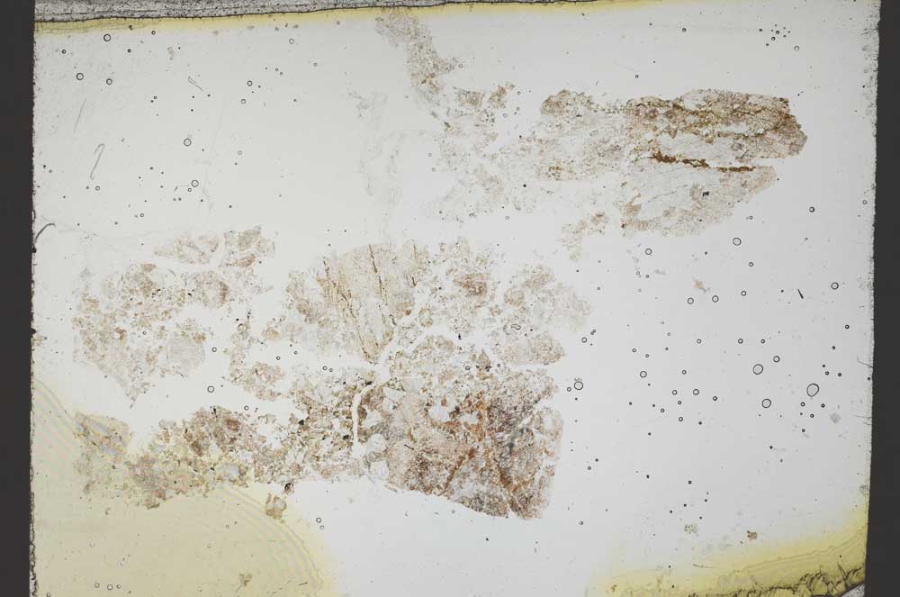 Plane Polarized, S54676