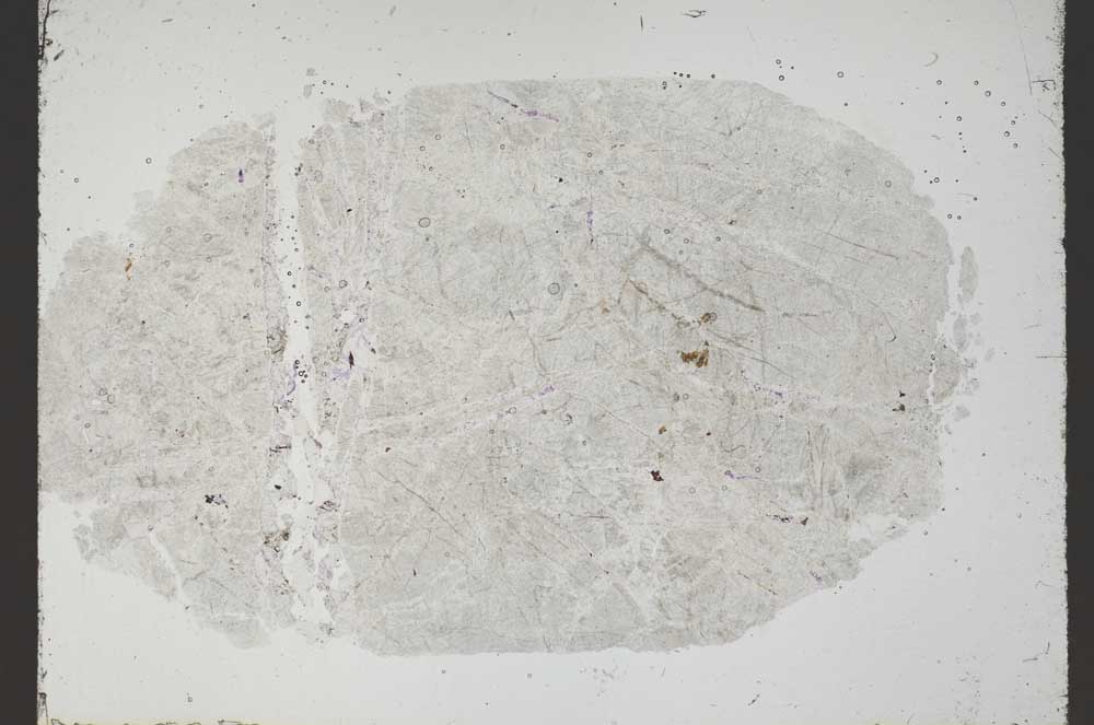 Plane Polarized, S54677