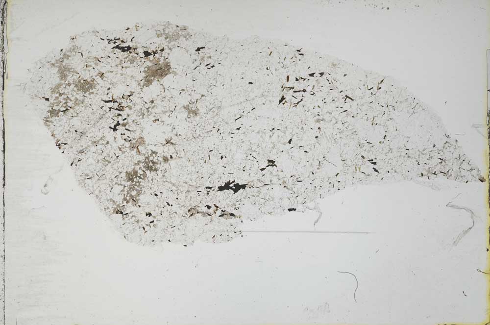 Plane Polarized, S54703