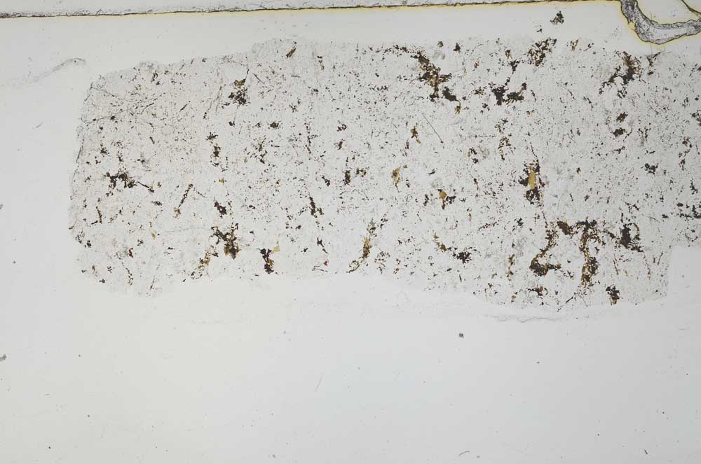 Plane Polarized, S54707