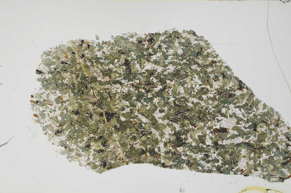 Plane Polarized, S54709