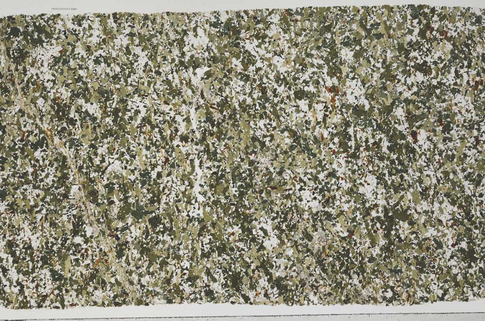 Plane Polarized, S54710/A