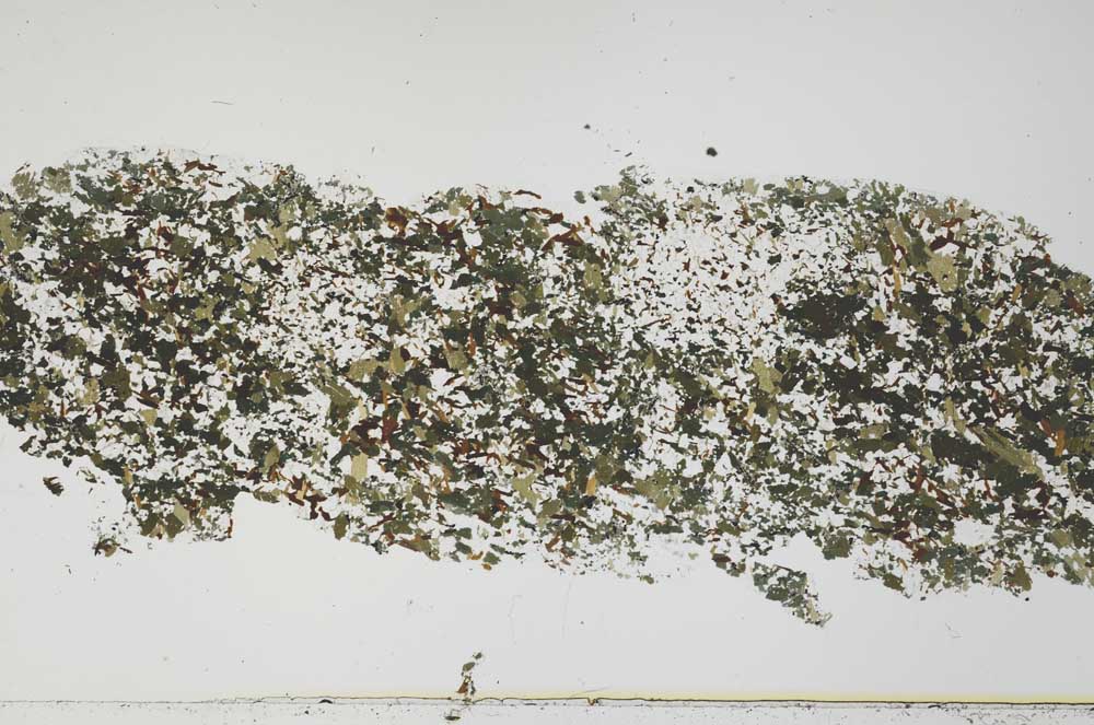 Plane Polarized, S54712