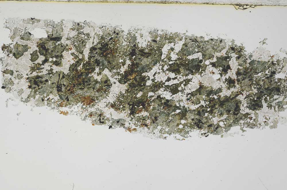 Plane Polarized, S54715