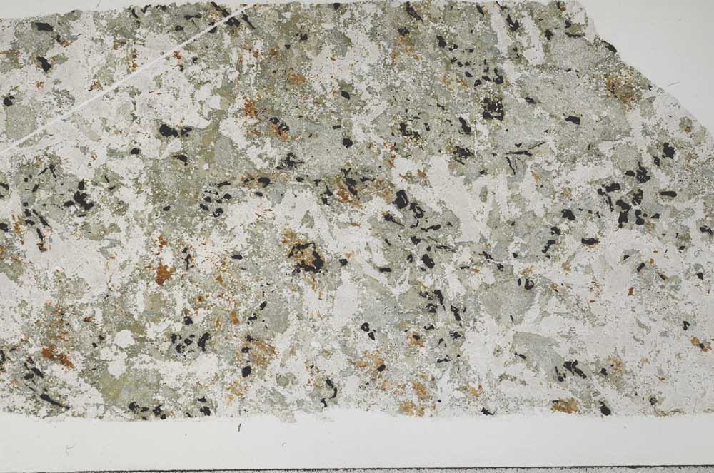 Plane Polarized, S54715/A