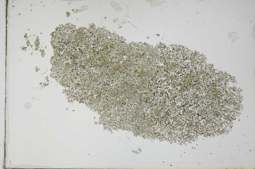 Plane Polarized, S54717