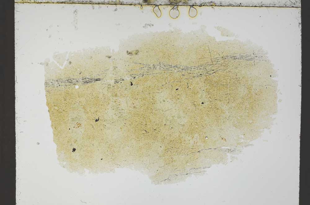 Plane Polarized, S54725