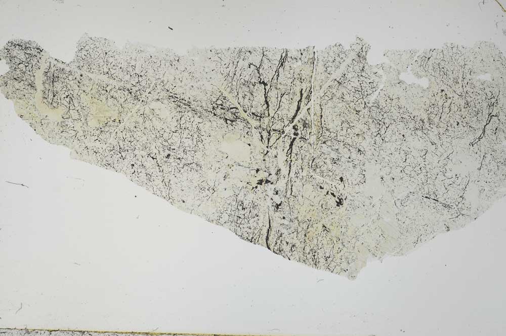 Plane Polarized, S54726