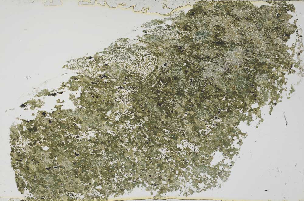 Plane Polarized, S54731