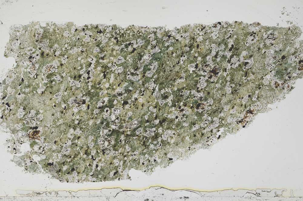 Plane Polarized, S54732