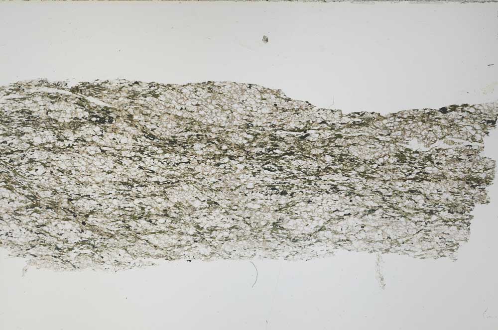 Plane Polarized, S54737