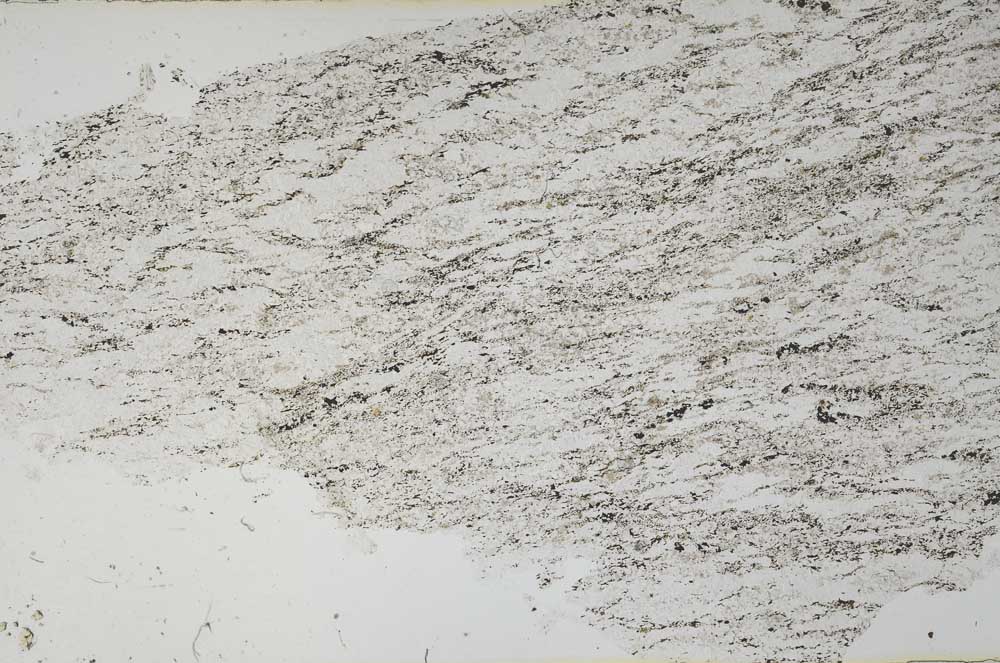 Plane Polarized, S54743