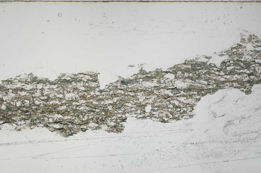 Plane Polarized, S54756