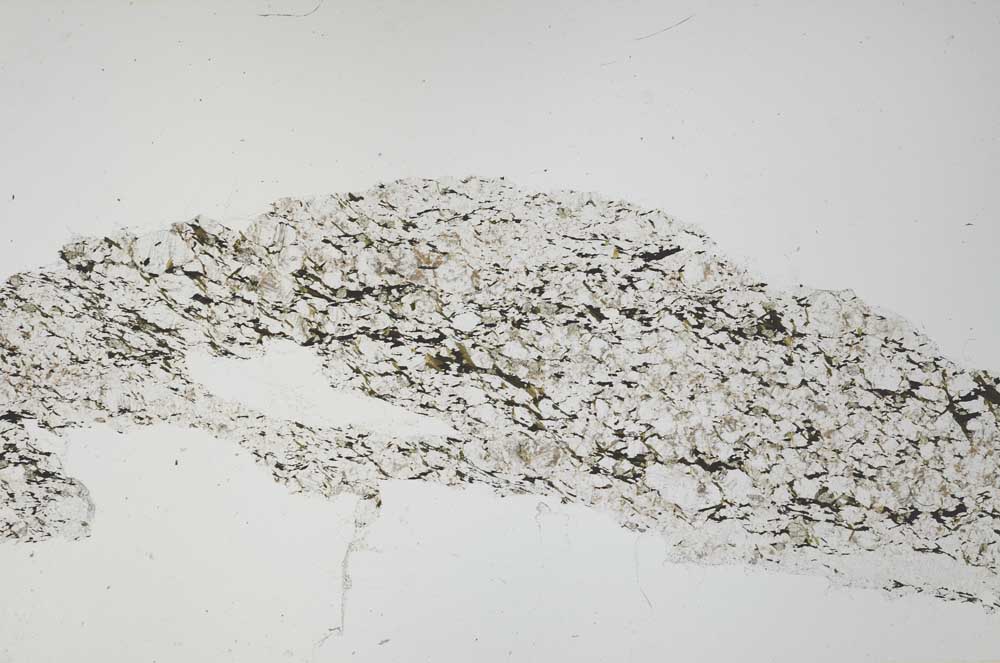 Plane Polarized, S54760