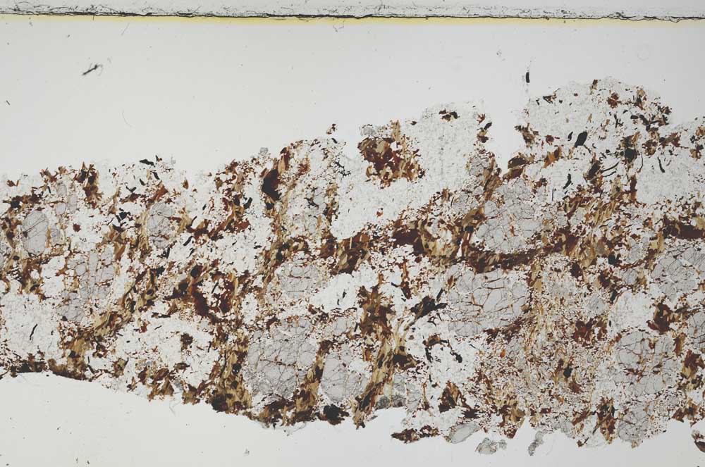 Plane Polarized, S54771