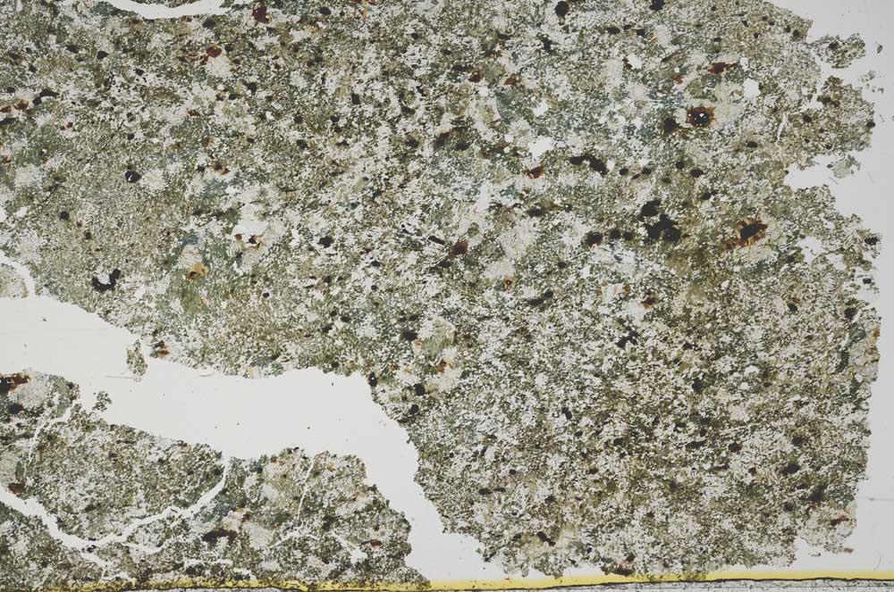 Plane Polarized, S54772