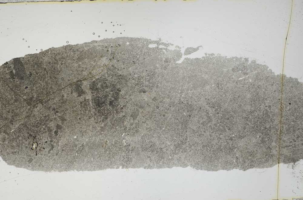 Plane Polarized, S54872