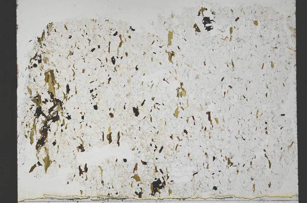 Plane Polarized, S54927